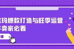 沃尔玛爆款打造与旺季运营，新手卖家必看（11节视频课）