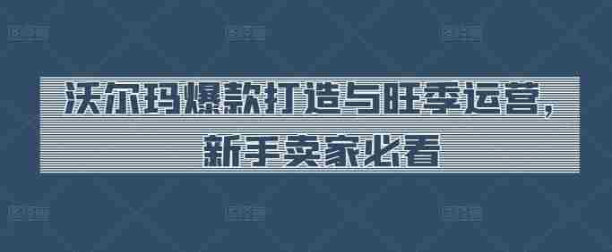 沃尔玛爆款打造与旺季运营，新手卖家必看