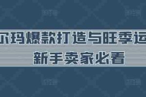 沃尔玛爆款打造与旺季运营，新手卖家必看
