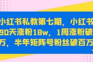 小红书私教第七期，小红书90天涨粉18w，1周涨粉破万，半年矩阵号粉丝破百万