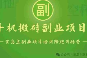 手机搬砖小副业项目训练营1.0，实测1小时收益50+，一部手机轻松日入100+