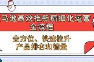 亚马逊高效推新精细化运营全流程，全方位、快速 拉升产品排名和销量