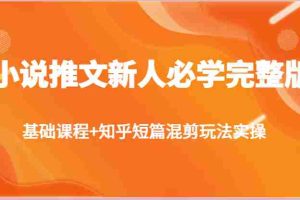 小说推文新人必学完整版，基础课程+知乎短篇混剪玩法实操