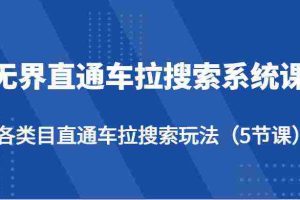 无界直通车拉搜索系统课-各类目直通车拉搜索玩法（5节课）