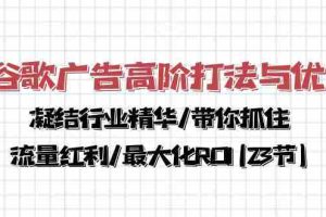 谷歌广告高阶打法与优化，凝结行业精华/带你抓住流量红利/最大化ROI(23节)