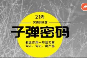 《子弹密码训练营》-用一句话文案勾人勾心卖产品，21天学到顶尖文案大师策略和技巧