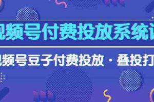 视频号付费投放系统课，视频号豆子付费投放·叠投打法（高清视频课）