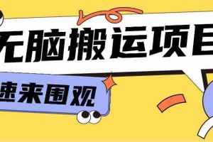 小红书虚拟项目，无脑搬运，零成本零门槛轻松月入3000+【视频教程+配套工具】