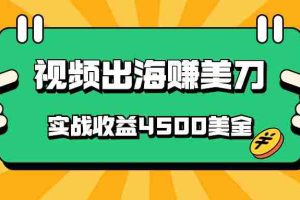 国内爆款视频出海赚美刀，实战收益4500美金，批量无脑搬运，无需经验直接上手