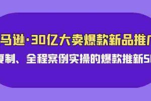 亚马逊30亿大卖爆款新品推广，可复制、全程案例实操的爆款推新SOP