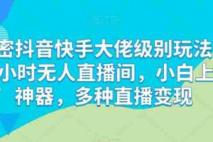 解密抖音快手大佬级别玩法，24小时无人直播间，小白上手神器，多种直播变现【揭秘】