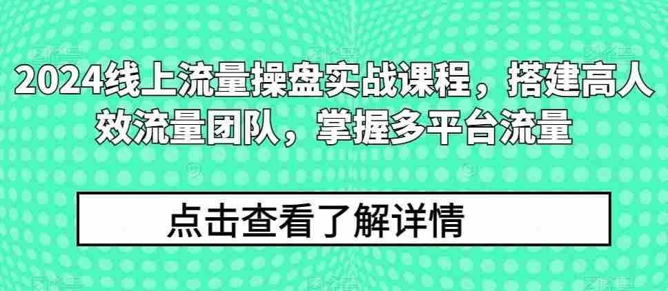 2024线上流量操盘实战课程，搭建高人效流量团队，掌握多平台流量