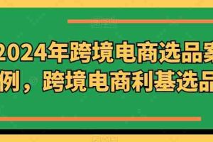 2024年跨境电商选品案例，跨境电商利基选品