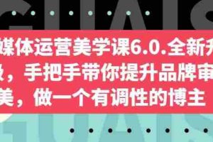 自媒体运营美学课6.0.全新升级，手把手带你提升品牌审美，做一个有调性的博主