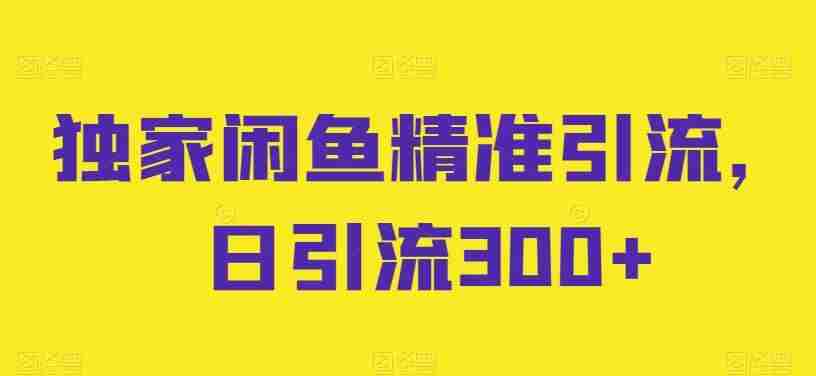 独家闲鱼精准引流，日引流300+【揭秘】