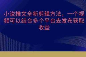 小说推文全新剪辑方法，一个视频可以结合多个平台去发布获取【揭秘】