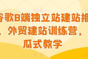 谷歌B端独立站建站推广，外贸建站训练营，傻瓜式教学
