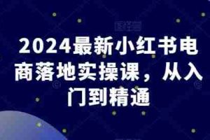 2024最新小红书电商落地实操课，从入门到精通