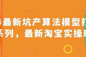 2024最新坑产算法模型打款玩法系列，最新淘宝实操玩法