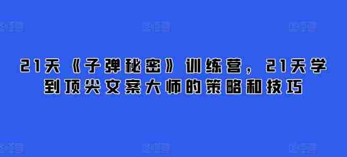 21天《子弹秘密》训练营，21天学到顶尖文案大师的策略和技巧