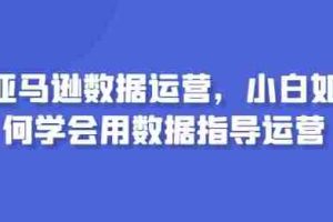 亚马逊数据运营，小白如何学会用数据指导运营