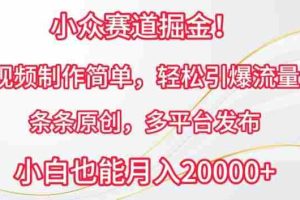 小众赛道掘金，视频制作简单，轻松引爆流量，条条原创，多平台发布【揭秘】
