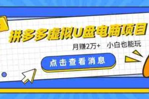 拼多多虚拟U盘电商红利项目：月赚2万+，新手小白也能玩