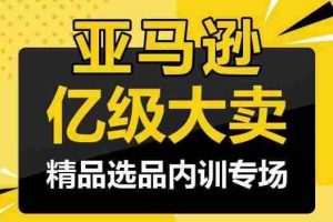 亚马逊亿级大卖-精品选品内训专场，亿级卖家分享选品成功之道