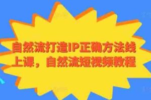 自然流打造IP正确方法线上课，自然流短视频教程