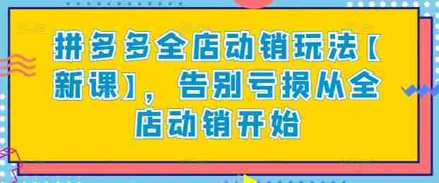 拼多多全店动销玩法【新课】，告别亏损从全店动销开始