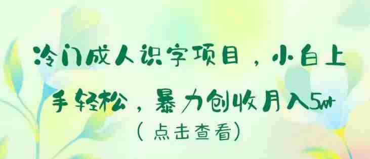 冷门成人识字项目,小白上手轻松,暴力创收月入5w+【揭秘】