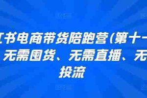 小红书电商带货陪跑营(第十一期)，无需囤货、无需直播、无需投流