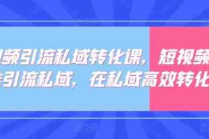 短视频引流私域转化课，短视频精准引流私域，在私域高效转化