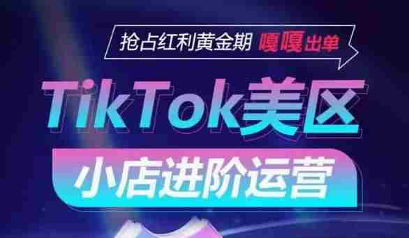 TikTok Shop美区小店进阶运营，抢占红利黄金期 嘎嘎出单