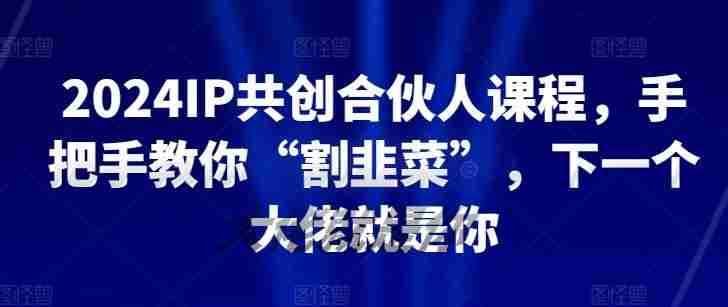 2024IP共创合伙人课程，手把手教你“割韭菜”，下一个大佬就是你