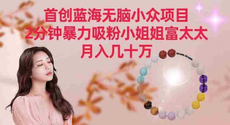 首创蓝海无脑小众项目,2分钟暴力吸粉小姐姐富太太,月入几十万【揭秘】