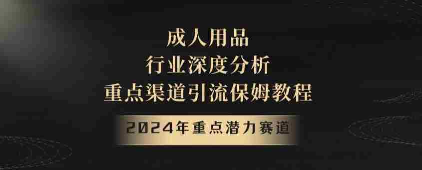 2024年重点潜力赛道，成人用品行业深度分析，重点渠道引流保姆教程【揭秘】