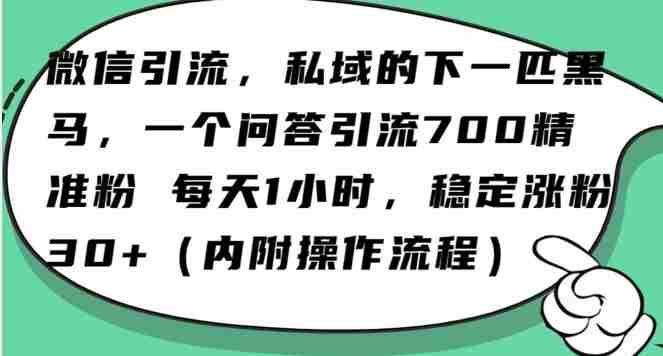 怎么搞精准创业粉?微信新赛道,每天一小时,利用Ai一个问答日引100精准粉