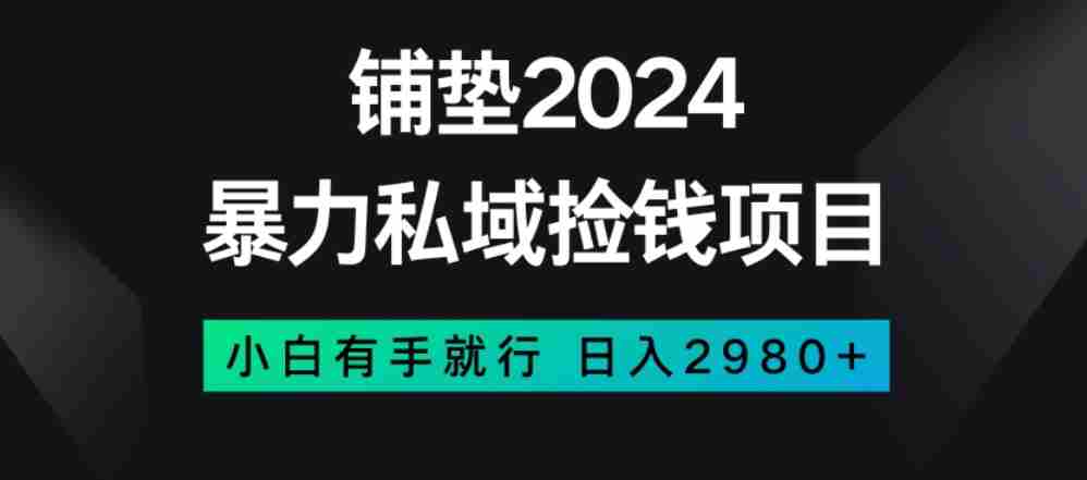 暴力私域捡钱项目，小白无脑操作，日入2980【揭秘】