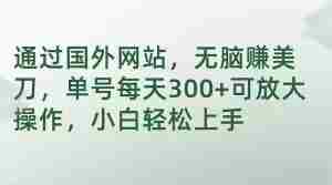 通过国外网站，无脑赚美刀，单号每天300+可放大操作，小白轻松上手【揭秘】