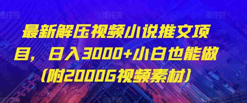 最新解压视频小说推文项目，日入3000+小白也能做（附2000G视频素材）【揭秘】