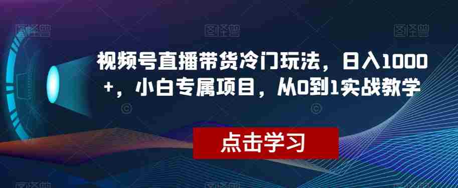 视频号直播带货冷门玩法，日入1000+，小白专属项目，从0到1实战教学【揭秘】