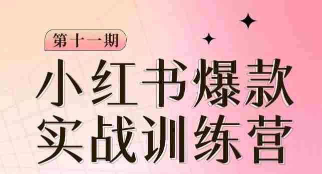 小红书博主爆款训练营第11期,手把手教你从0-1做小红书,从定位到起号到变现