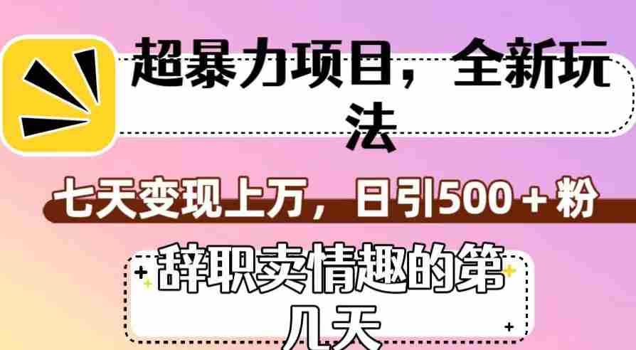 超暴利项目，全新玩法（辞职卖情趣的第几天），七天变现上万，日引500+粉【揭秘】