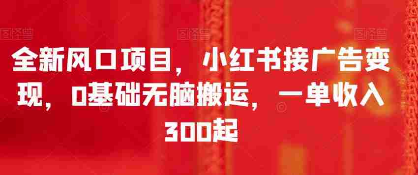 全新风口项目，小红书接广告变现，0基础无脑搬运，一单收入300起