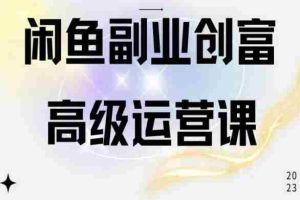闲鱼电商运营高级课程，一部手机学会闲鱼开店赚钱