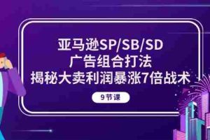 亚马逊SP/SB/SD广告组合打法，揭秘大卖利润暴涨7倍战术 (9节课)