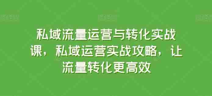 私域流量运营与转化实战课，私域运营实战攻略，让流量转化更高效