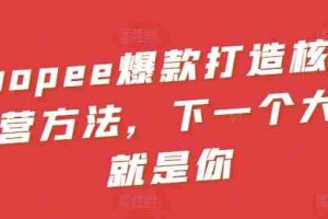 Shopee爆款打造核心运营方法，下一个大卖就是你