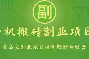 手机搬砖小副业项目训练营1.0，能用手机做的简单小副业